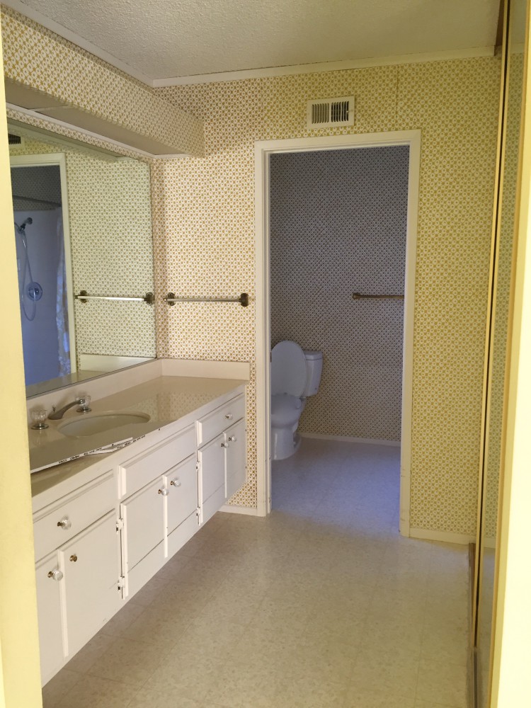 before master bath vanity